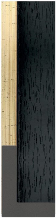 DC4763-1 Siyah · Altın çerçeve profili, 47 mm