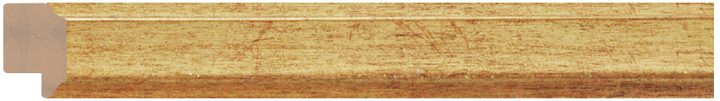 DL2304 Altın çerçeve profili, 22 mm
